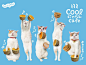 NyaRan, Japan's Travel Agency Spokes-Cat