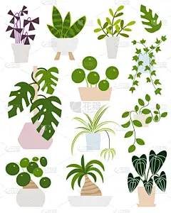 放置在花盆中的家庭植物。平面手绘叶子植物，用于现代写字楼或家居装饰插画.