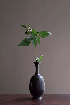 悠扬的云采集到花艺