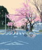 Bike Cherry blossoms japan Landscape sakura spring tokyo