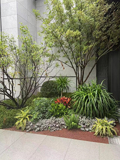 LUbrother采集到植物种植