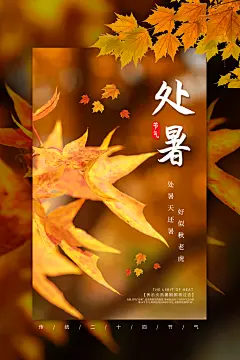 清新处暑节气宣传海报