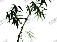竹子 【酷图网】竹子,竹子素材,竹子元素,竹子背景,竹子底纹,矢量竹子,竹,竹素材,竹元素,竹背景,矢量竹,竹报平安,梅兰竹菊,梅兰竹菊素材,竹子盆栽,富贵竹盆栽,熊猫竹子,手绘竹子,高清竹子,水墨竹子,中国风竹子