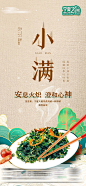 海报 房地产 二十四节气 小满 野菜 插画 纹理