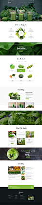 Gamba - Organic PSD Template