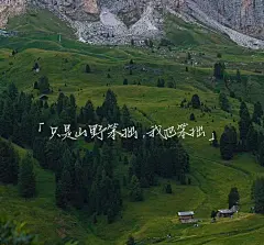 壁纸/背景图