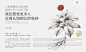 文山三七×同道设计·让传统再次发光-古田路9号-品牌创意/版权保护平台