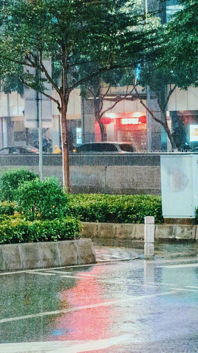 在雨中