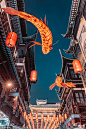 VCG211293002461