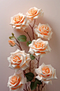 peach roses wallpaper white rose background, in the style of light magenta and light amber, mike campau
