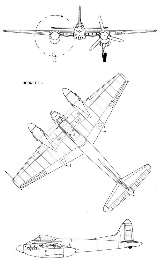 hornet-1.gif (1200×2...