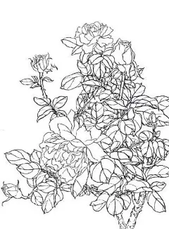 我的首页 微博-随时随地发现新鲜事