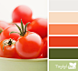 水果颜色搭配 色彩搭配 - 图翼网(TUYIYI.COM) - 优秀APP设计师联盟