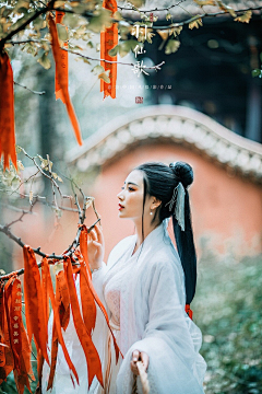 傲雪舞苍穹采集到银杏