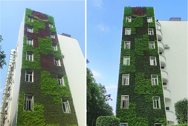 垂直绿化 立体绿化 建筑绿化 景观绿墙<...