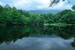 阉割的猫采集到风景