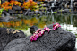 垃圾,花环,水,水平画幅,无人,火山岩,花卉花环,夏威夷大岛,热带气候,岩石