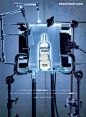 Absolut 20th Anniversary