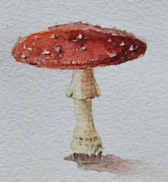 木壳人  的插画 乱涂乱画