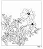 白描画谱：花卉白描