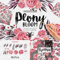 水彩手绘芍药牡丹花图案卡片 免抠PNG设计素材-淘宝网