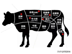 庙里的秃驴采集到牛排