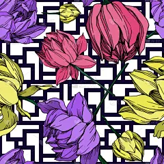 莲花,植物学,黑色,仅一朵花,纺织品,荷花,壁纸,植物群,春天,花