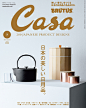 日本建筑杂志《Casa Brutus》封面设计!