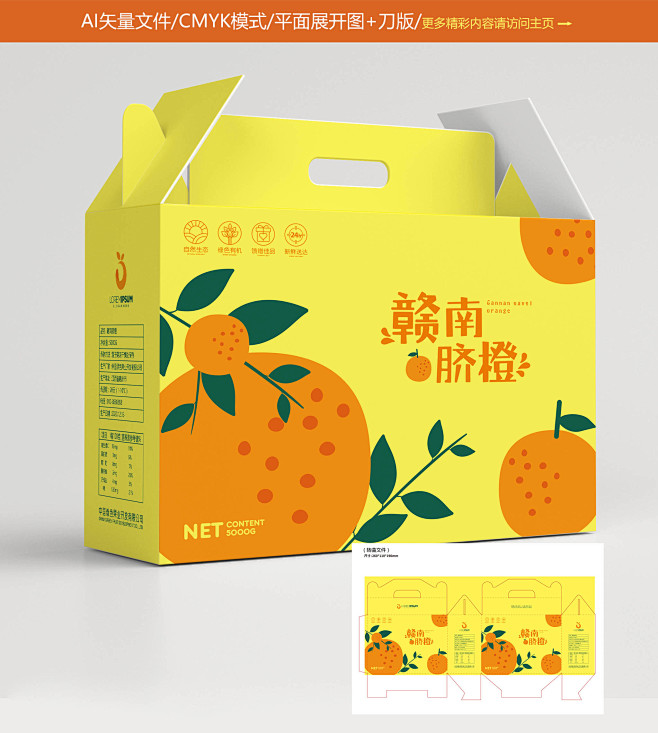 橙子包装