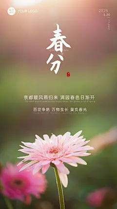 春分金融保险节气祝福实景海报