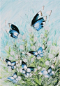 Butterflies飞向你的世界——Dmitry Kustanovich_Nadan的博客_微原创V17.cc