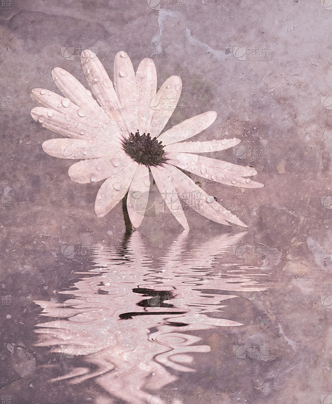 花