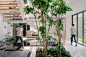 围屋，新加坡 / ASOLIDPLAN : 将自然带入室内的景观住宅