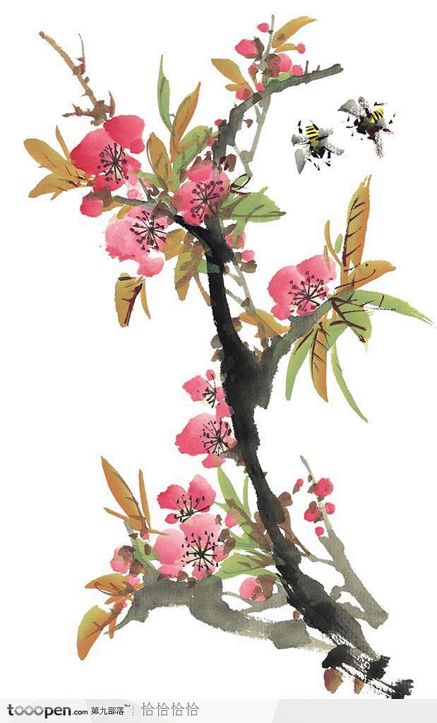 中国国画之花类植物-粉色桃花
