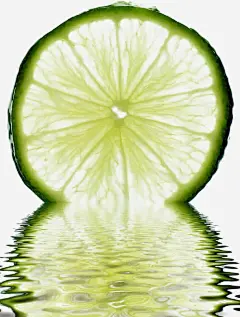 绿色的柠檬片高清素材 柠檬片 水果 泡水 酸 免抠png 设计图片 免费下载