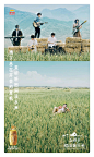 #暴躁灵感库# 金龙鱼“稻田音乐会”海报文案 ​​​​