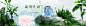 文雅banner（卖包包）