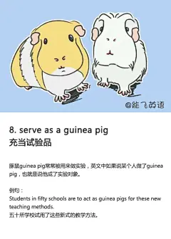【动物英语习语】
serve as a guinea pig 充当试验品
#动物# #英语# #豚鼠# #插画# #设计#