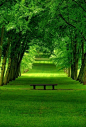 烦躁的世界，好想坐在这样一个绿色世界的长凳上，静静心..