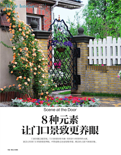 小禾晓采集到入口设计