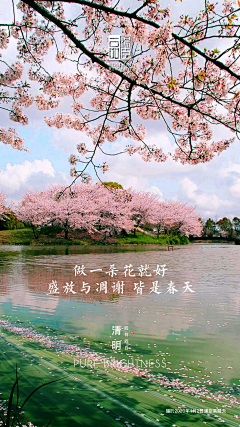 7畅畅采集到地产清明