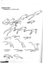 四足动物的运动规律 并附经典参考图讲解 - 299动画!