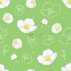 卡通,白色,矢量,茉莉,花蕾,四方连续纹样,花,绘画插图,轮廓,花