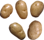 Potato png images, pictures, free download