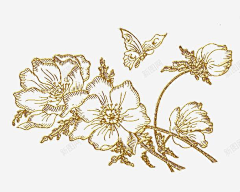 Virt采集到花纹