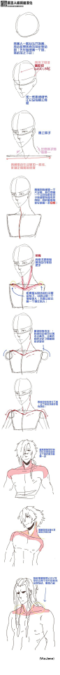 【男性躯干】【基情解说】画上半身的各种tips（via：Jenn 最后1P长条图备用~）