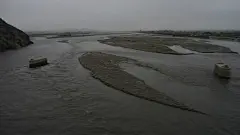 来到海边了。,马奶茶