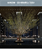 仿真植物大型酒店商场室内外造景盆景布景装饰假树仿真树绿植-淘宝网