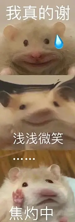 鼠鼠表情包