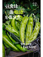 海报设计｜有机农场欢乐一下 - 小红书